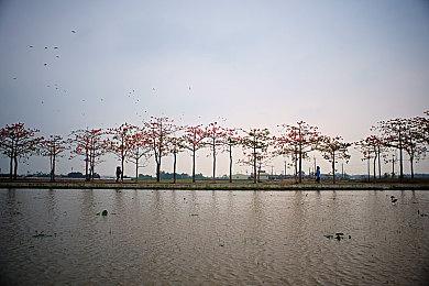 腾讯称未来电竞人才缺口200万 电竞选手只是一小部分